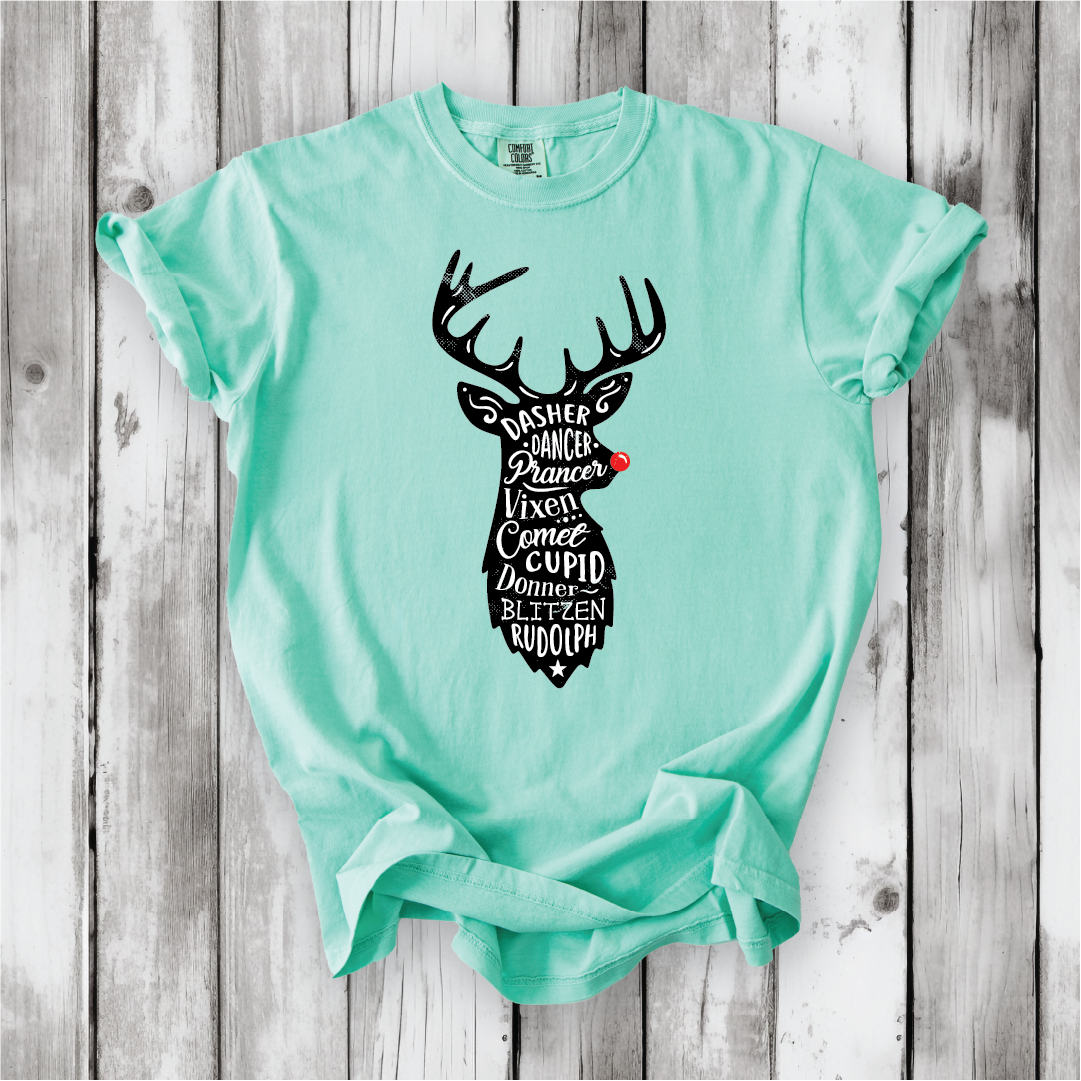 Cute Santa's Reindeer Shirt, Festive Holiday Apparel with all of Santa's Reindeer, Perfect gift for Christmas - Comfort Colors